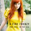 A Fine Frenzy - Lifesize