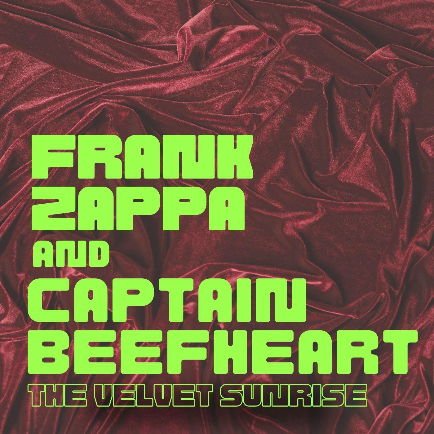 Frank Zappa - The Velvet Sunrise (Live)