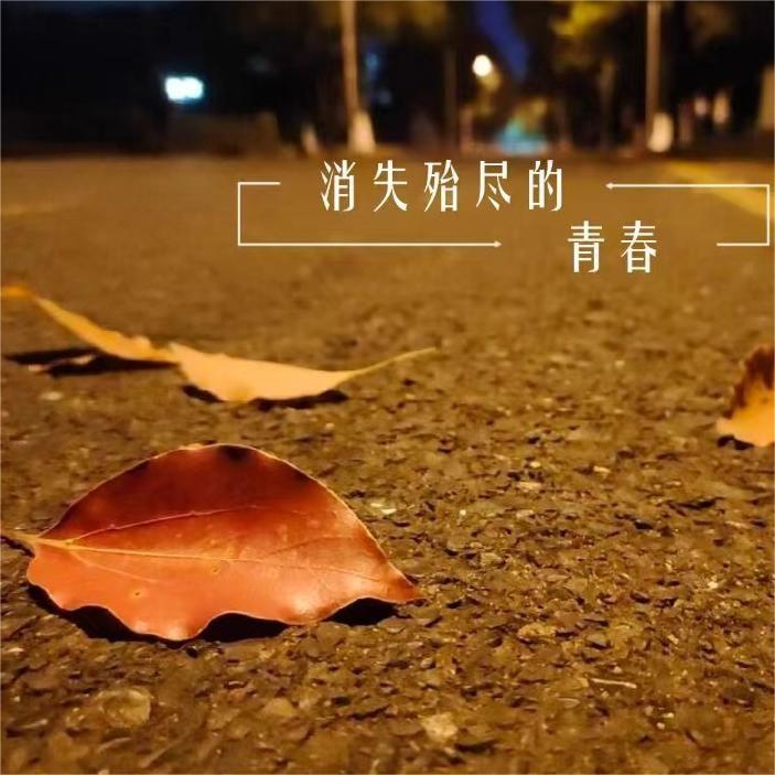 消失殆尽的青春