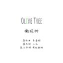 橄榄树 英文版 Olive Tree 考拉抱树专辑
