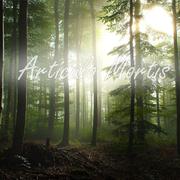Articulo Mortis