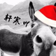 轩寒吖