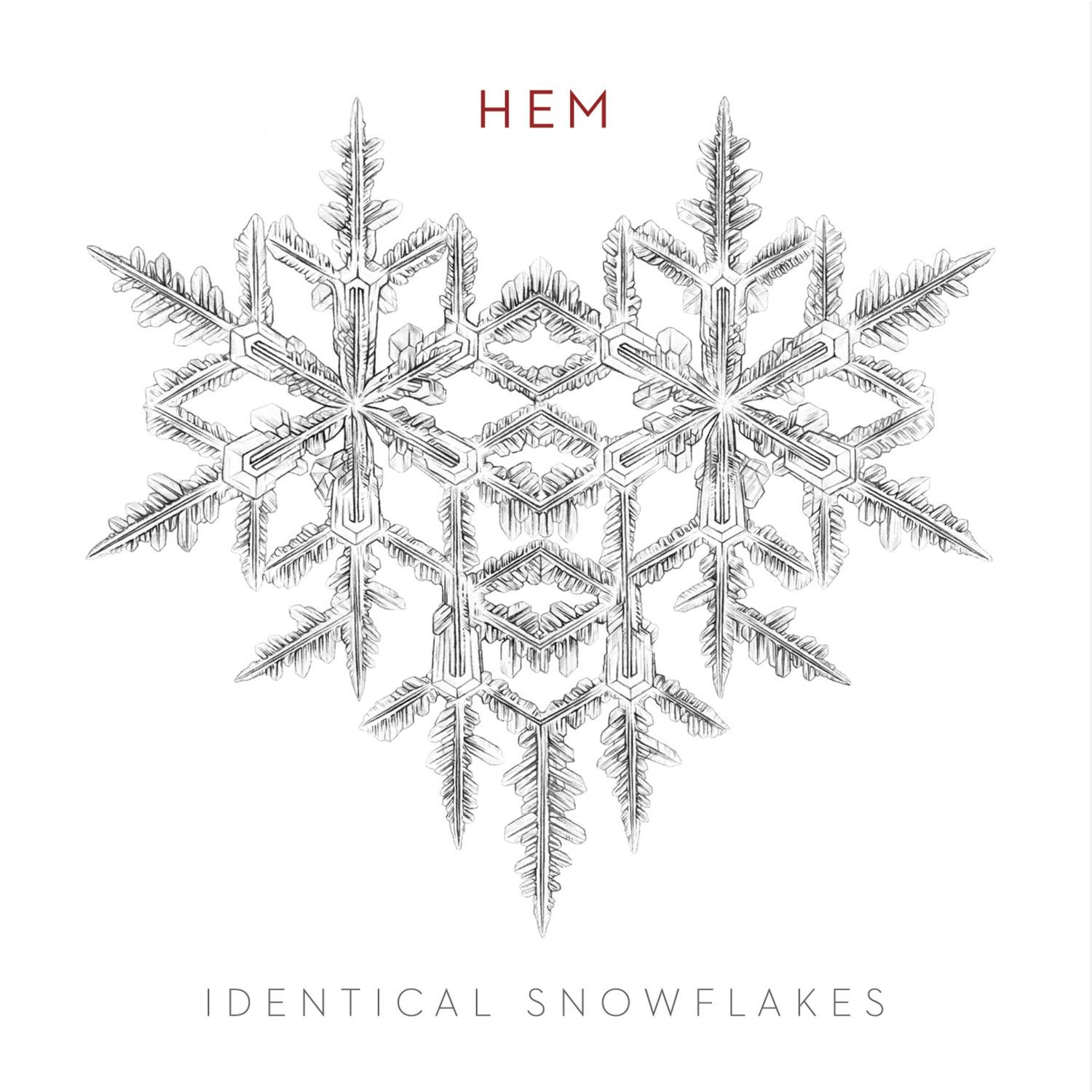 Identical Snowflakes