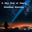 A Sky Full of Stars（NiaoBao Bootleg）
