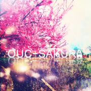 OUC-Sakura