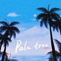 Palm tree专辑