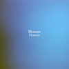 Blossom - Shimmer