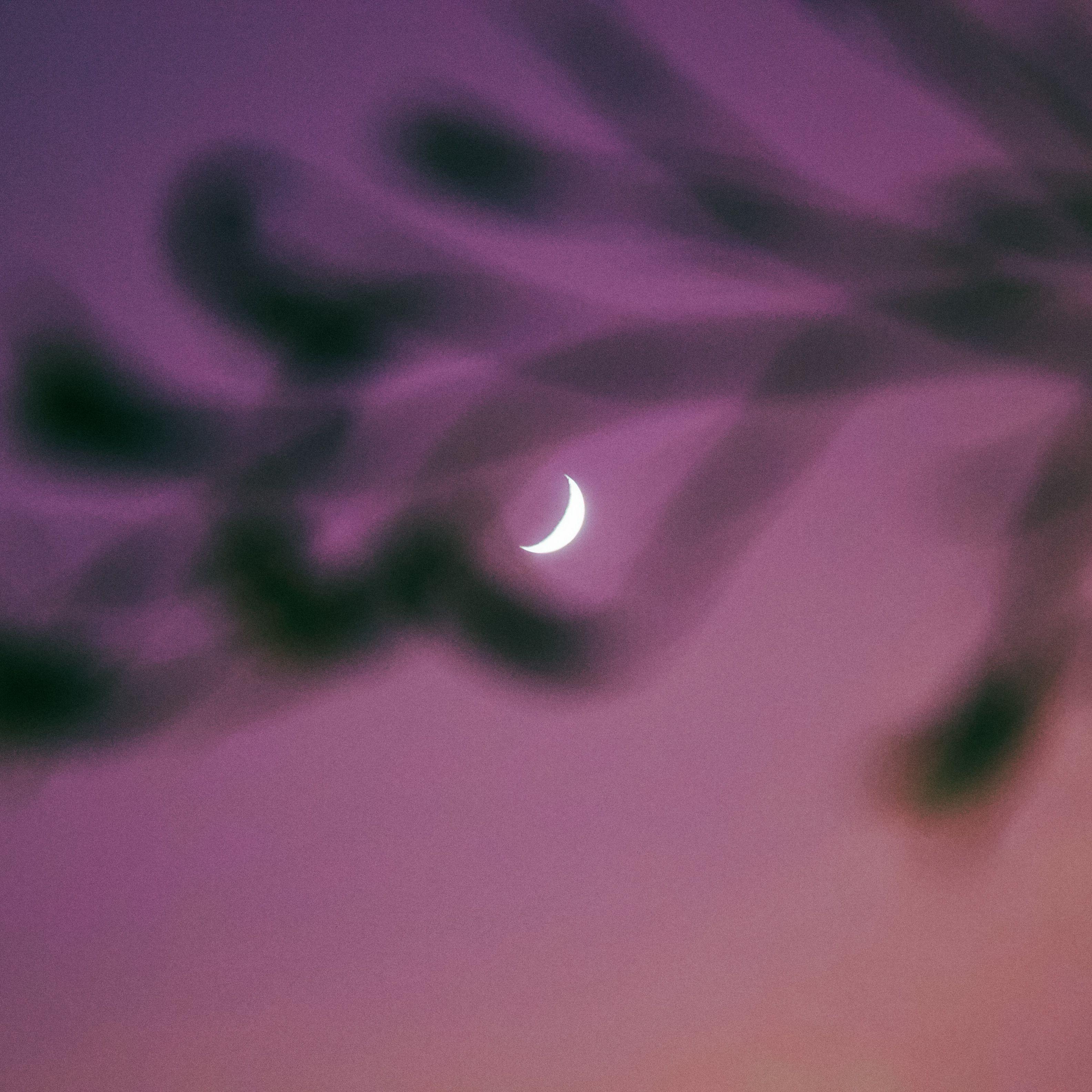 紫霞仙子
