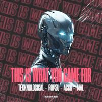 This Is What You Came For (feat. Mal)