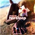 All Best Of Nu Deep By Jarvens