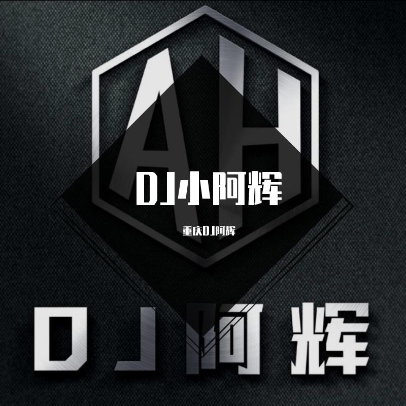 棒棒棒旋律- DJ阿辉（快手热门原声）