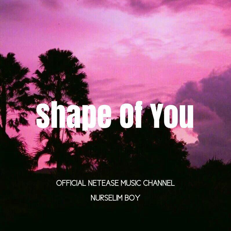 Shape Of You专辑