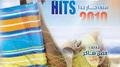 Hot Summer Hits 2010