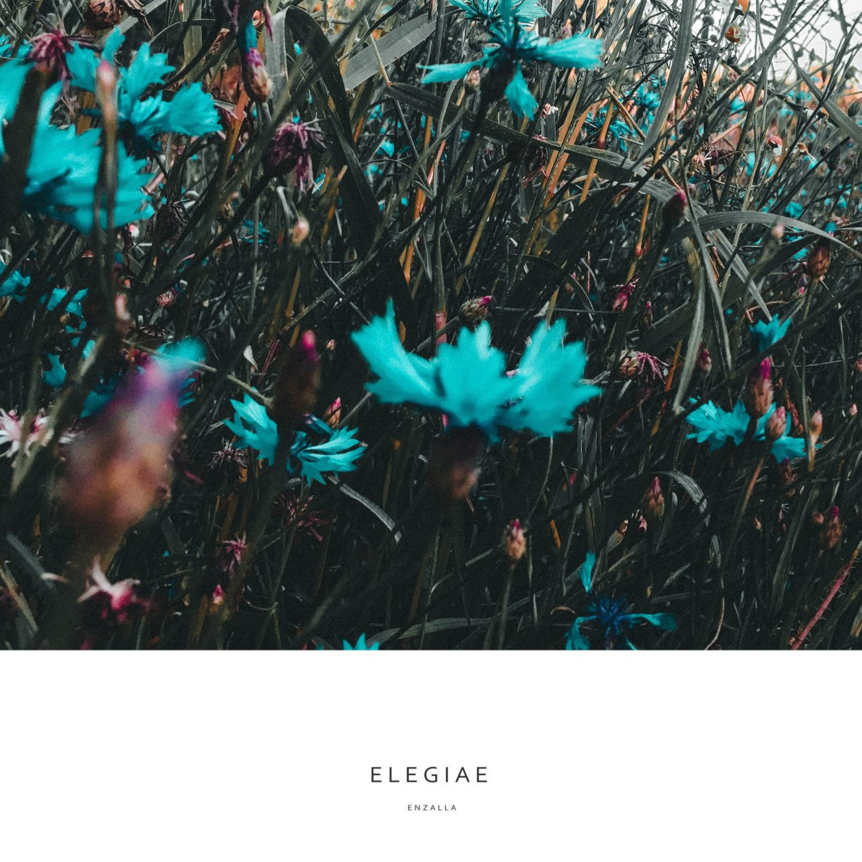 Elegiae