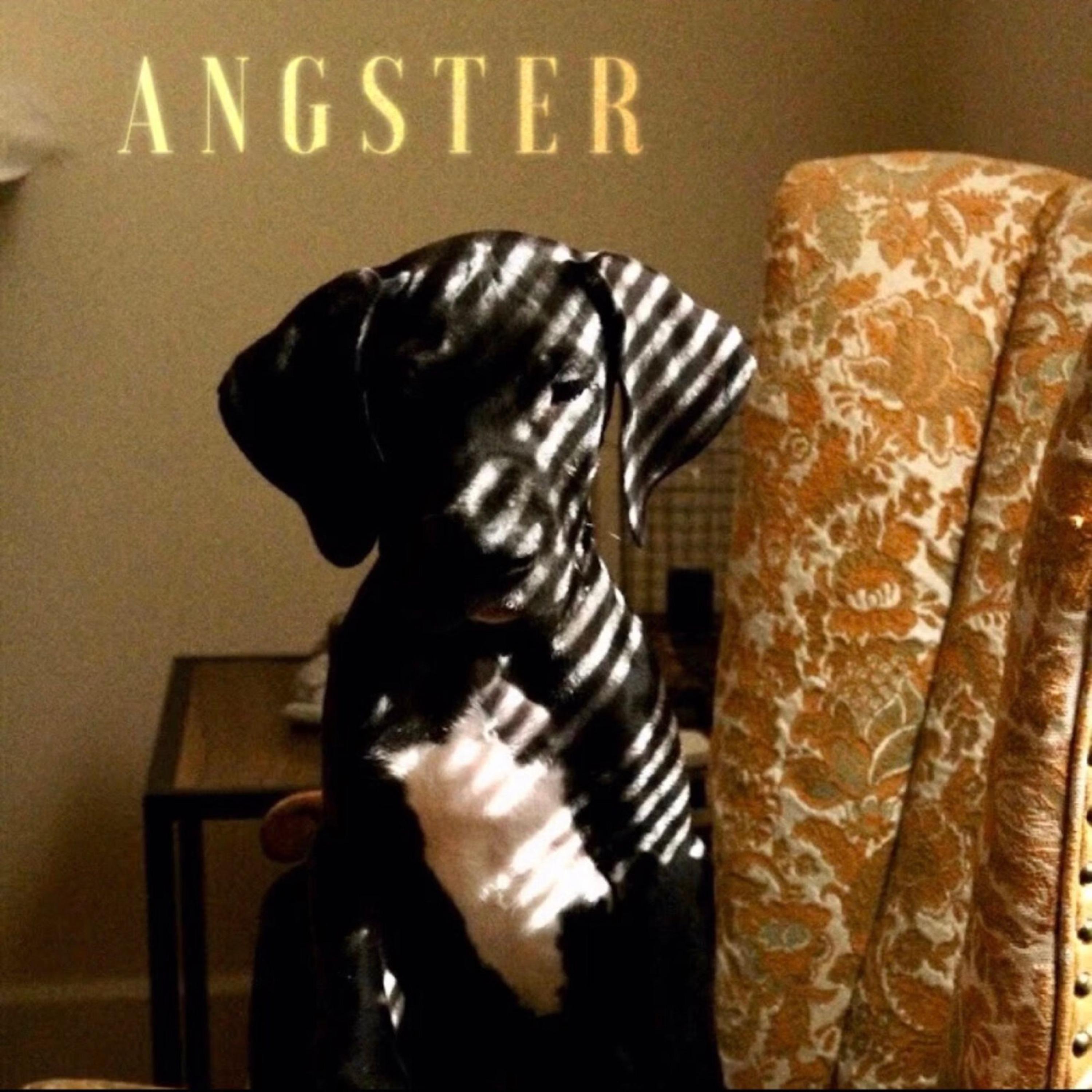 Angster