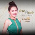 ฝากเบิ่งแนเด้อ (Cover) - Single