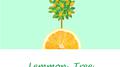 LEMON TREE专辑