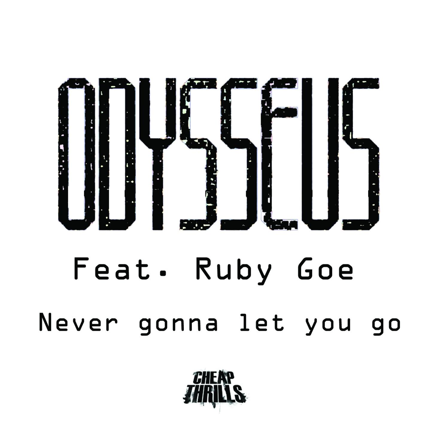 Never Gonna Let You Go