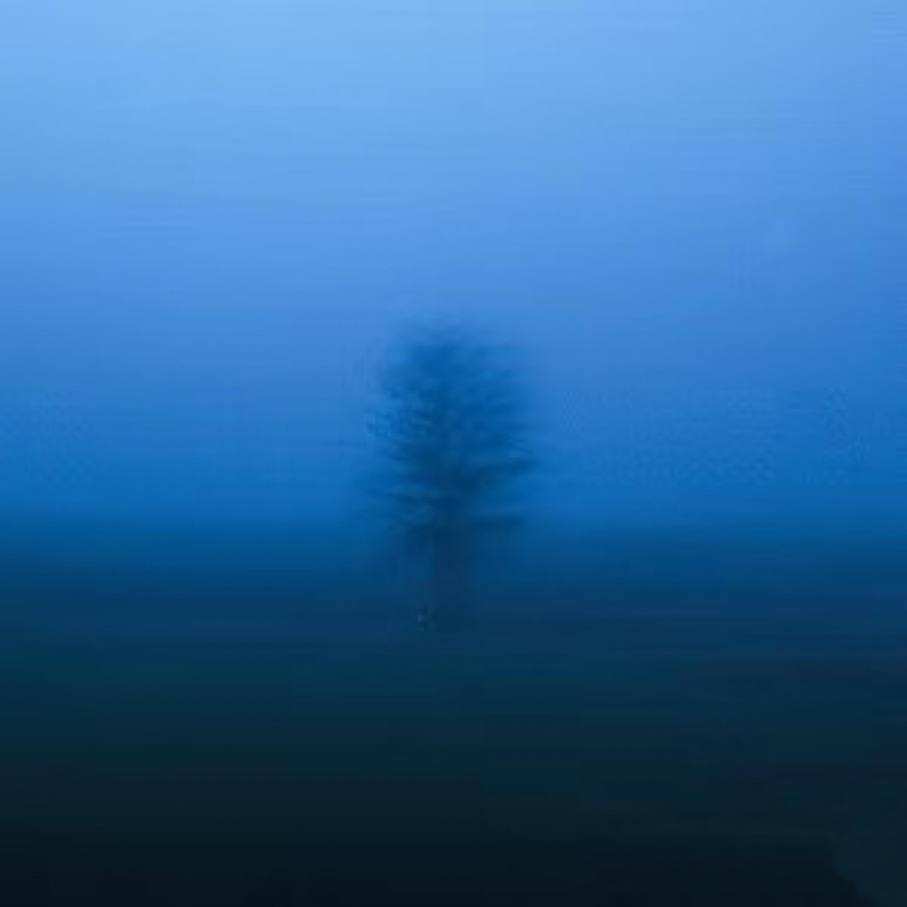 Dark（英文版）