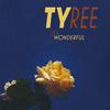 Tyree - It´s Wonderful