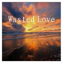 Wasted Love专辑