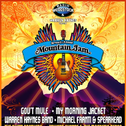 2011-06-03-  Mountain Jam, Hunter, NY专辑