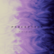 Perception（Reverse Mix）