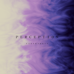 Perception（Original Mix）