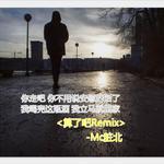 算了吧Remix专辑