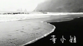 董小姐专辑
