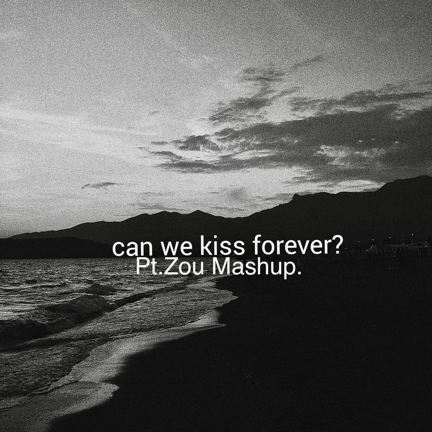 Can We Kiss Forever(Pt.Zou Mashup)
