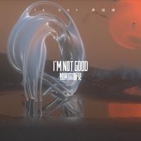 袁娅维-如果你听见 I'm Not Good(为歌而赞) 伴奏 无人声 伴奏 AI版本