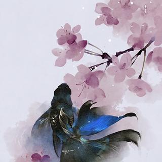 戏腔开场｜国风盛行 醉爱•古风歌曲