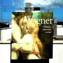 Oberturas, fragmentos, escenas, Wagner专辑