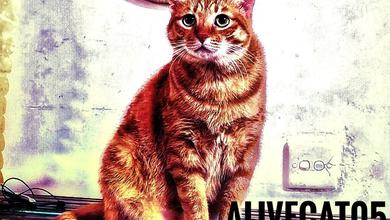 AliveCat05