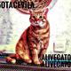 AliveCat05