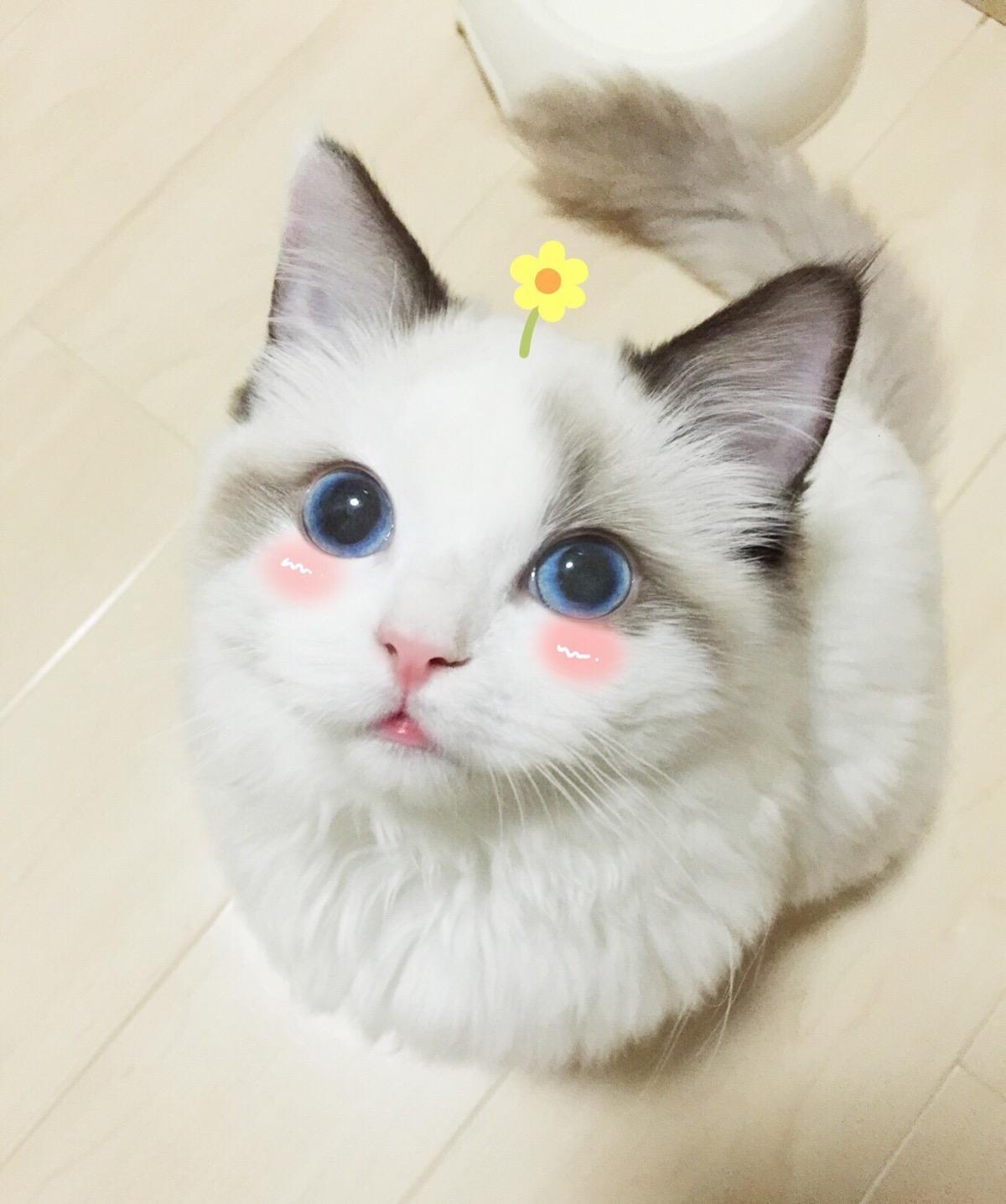 混音合集