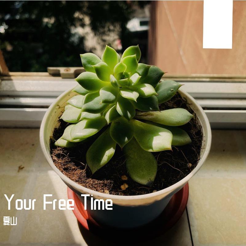 Your Free Time