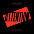 Attention (Acoustic)