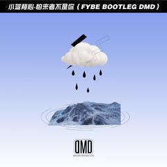 我怕来者不是你（FyBe Bootleg）