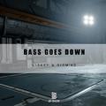 Bass Goes Down (Original Mix)