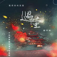 遇萤（橙光游戏《遇龙》主题曲剧情版OST（翻自 CRITTY）