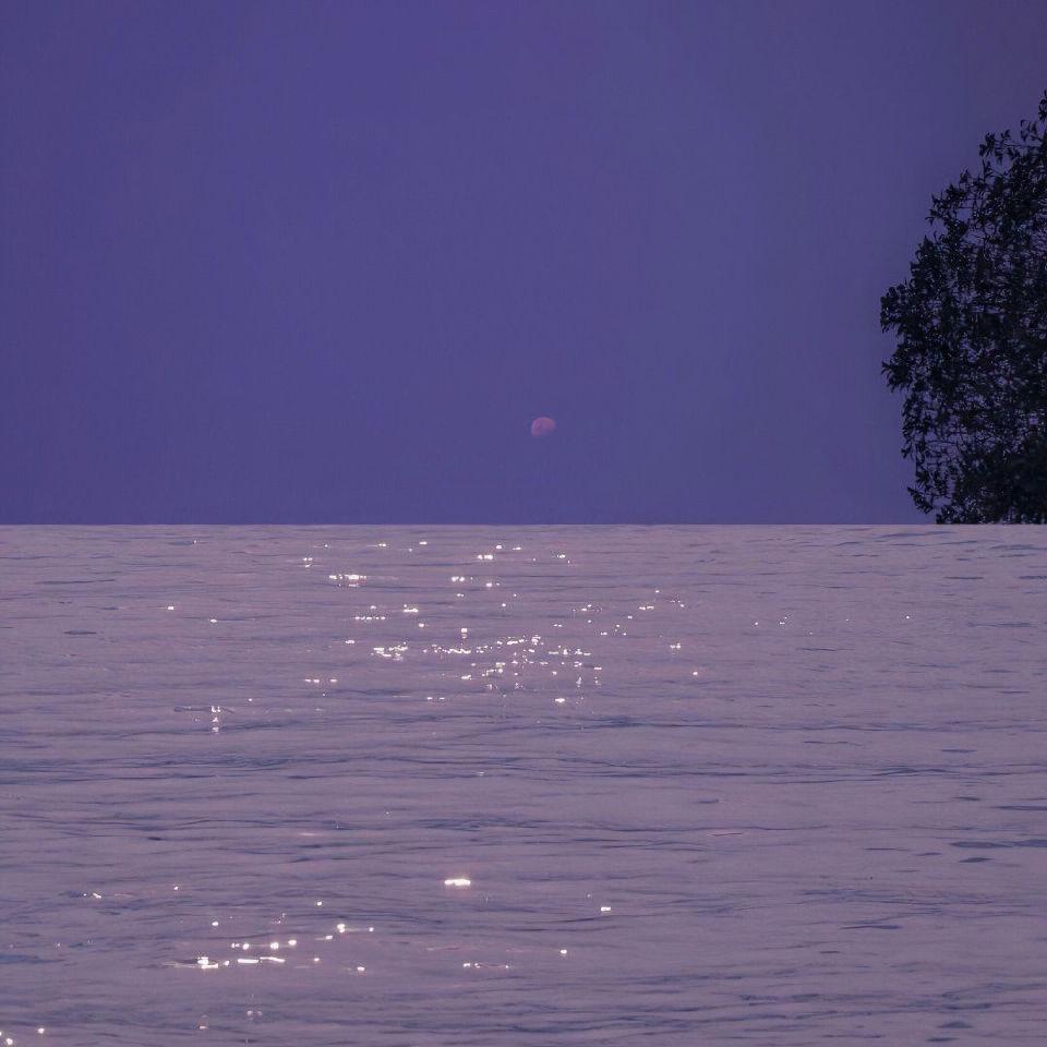 星遇