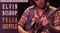 The Best Of Elvin Bishop:  Tulsa Shuffle专辑