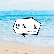 想你一夏