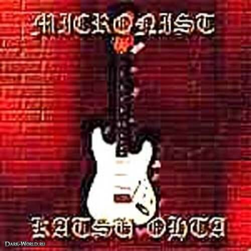 Micronist