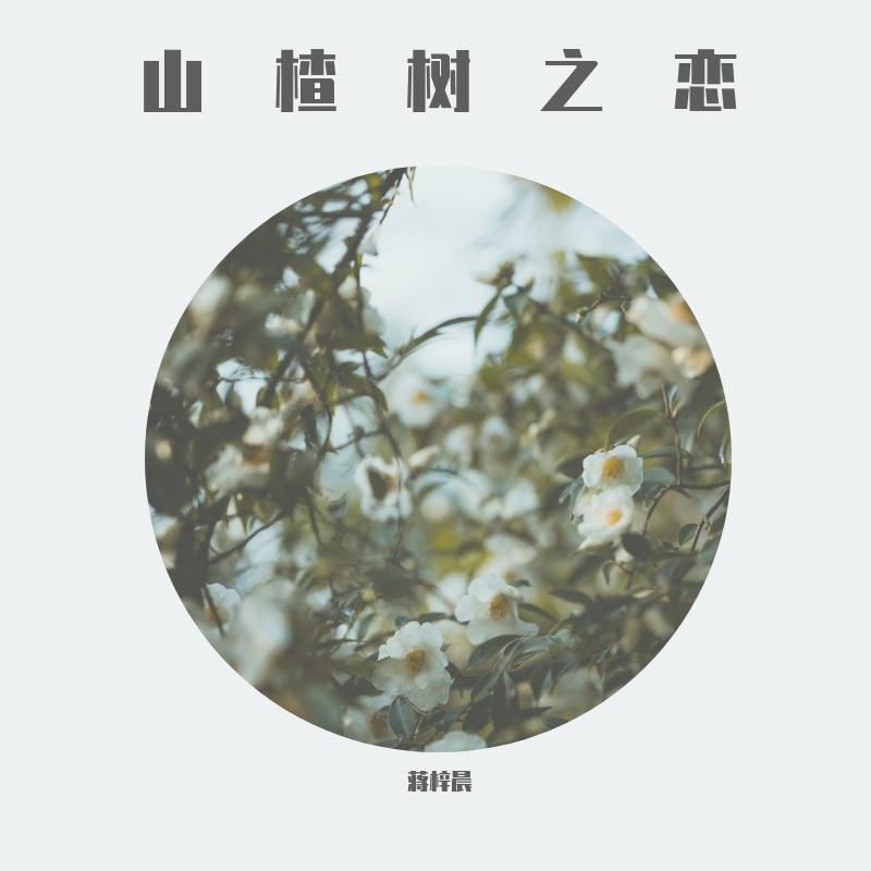 山楂树之恋