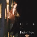 Bird n' Tree专辑