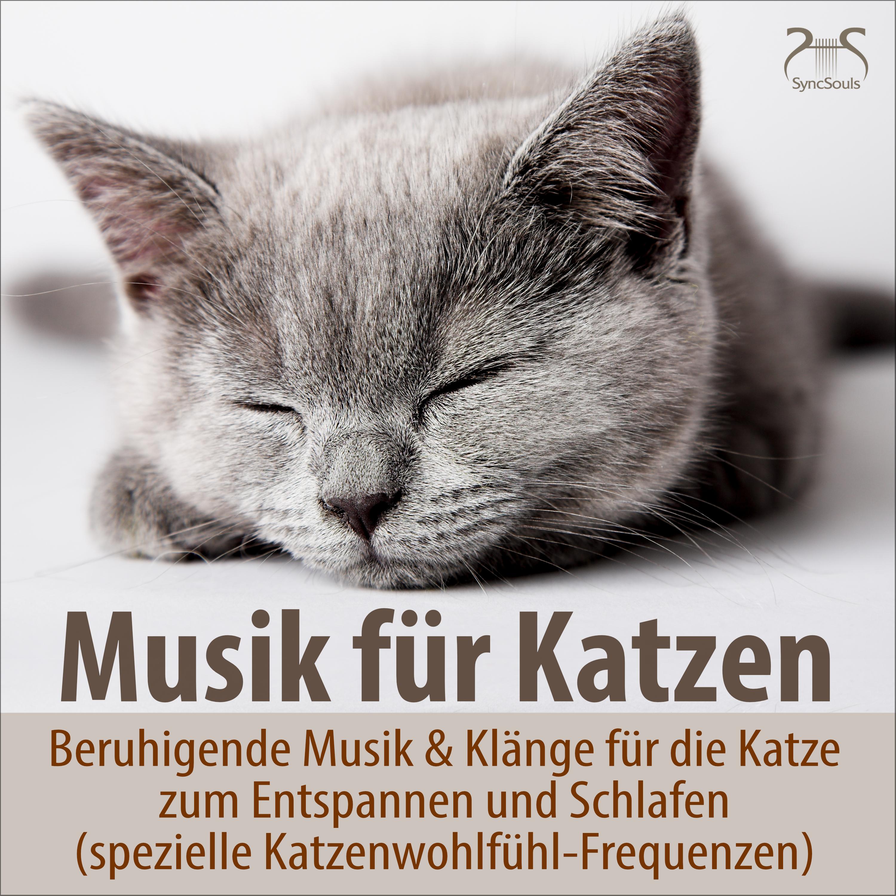 Die Katze beruhigen: Alpha Binaurale Beats, Musik mit breitem Frequenzspektrum - deckt alle störenden Geräusche ab