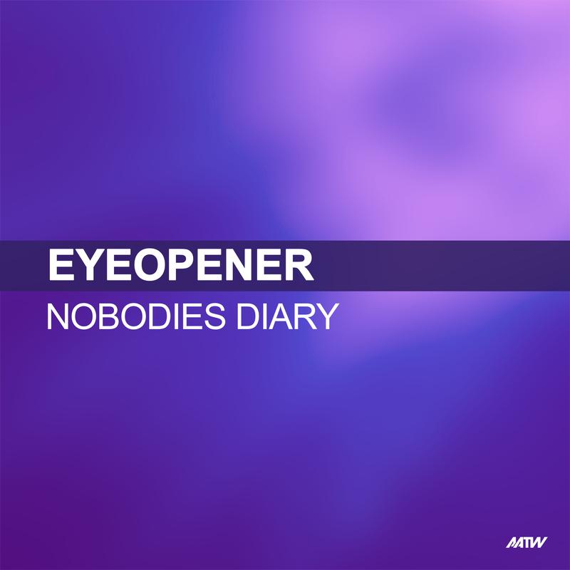 Nobodies Diary